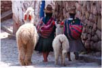 05.Peru,01.Ladies and llamas