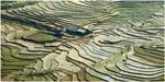 21.Vietnam.07.Sapa rice terraces