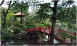 27.Japan.053.Shukkei-en garden Hiroshima