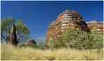 056. Termite mound in the Bungle Bungles