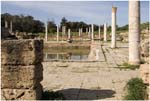 064. The Roman Baths at Leptis Magna