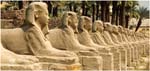 017. The Avenue of Sphinxes at Luxor