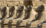 018. Ram headed Sphinxes at Karnak