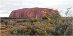 028. Ayers Rock - Uluru