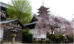 058.Toyokuni Shrine and pagoda, Miyajima